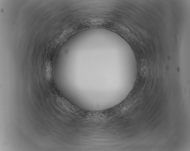 X0000080170866200612221248