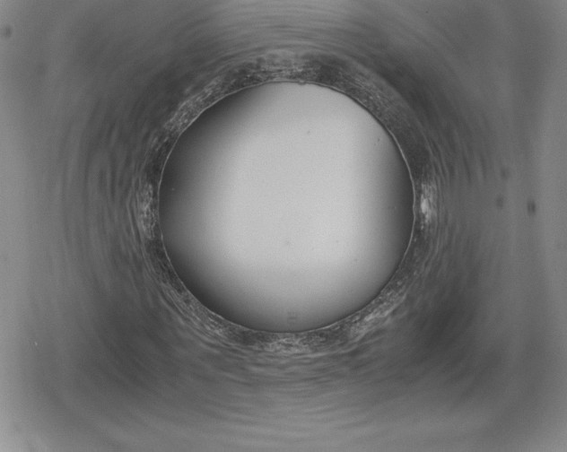 X0000080170867200612221248