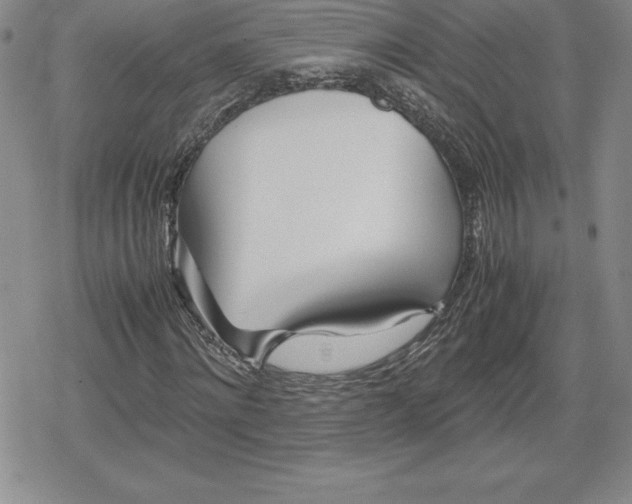 X0000080170868200612221248