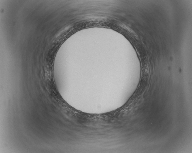 X0000080170869200612221248