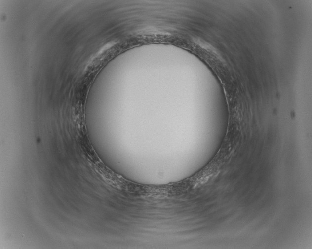 X0000080170870200612221248