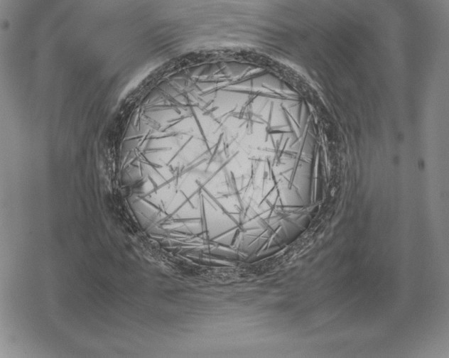 X0000080170871200612221248