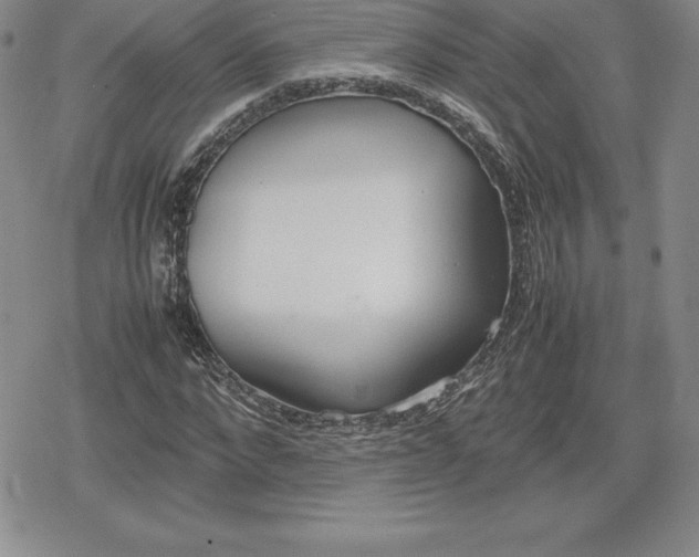 X0000080170872200612221248