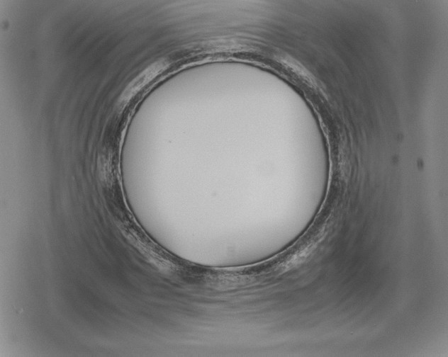 X0000080170873200612221248