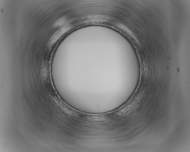 X0000080170874200612221248