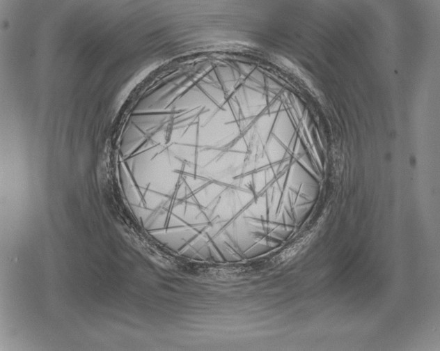 X0000080170875200612221248