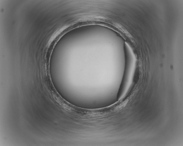 X0000080170877200612221248