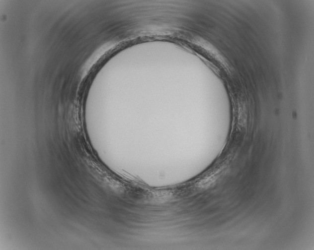 X0000080170878200612221248