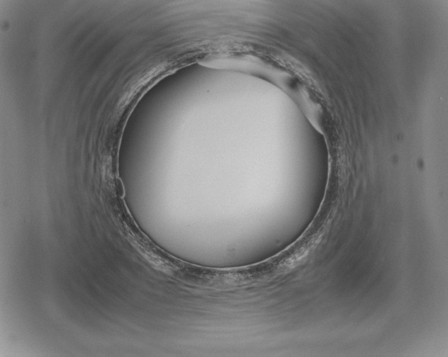 X0000080170881200612221248