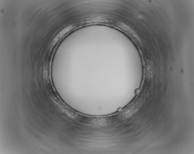 X0000080170882200612221248