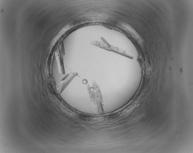 X0000080170883200612221248