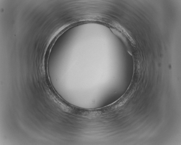 X0000080170884200612221248