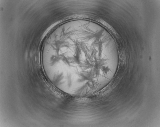 X0000080170886200612221248