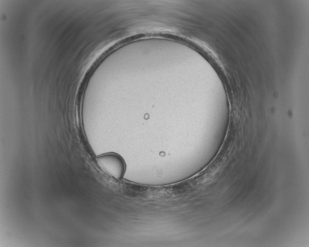 X0000080170887200612221248