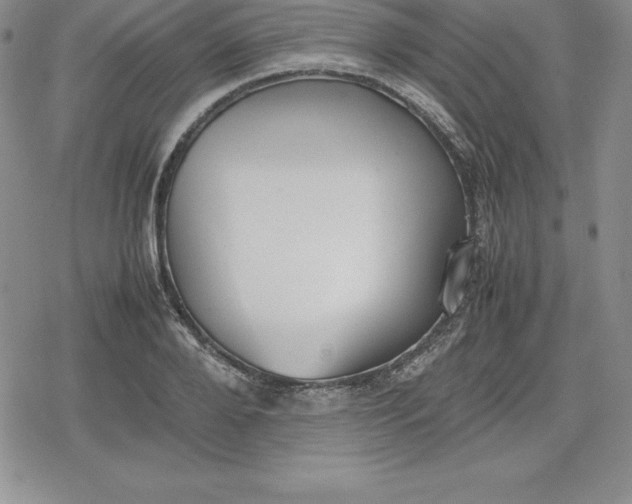 X0000080170888200612221248