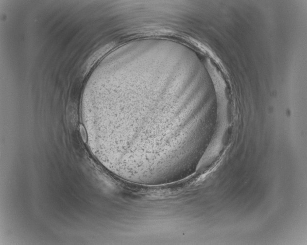 X0000080170889200612221248