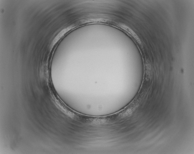 X0000080170890200612221248