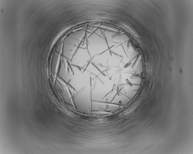 X0000080170891200612221248