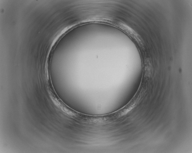 X0000080170892200612221248