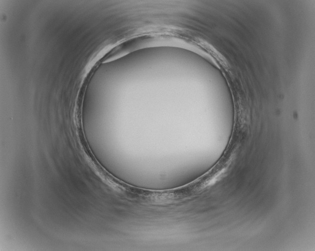 X0000080170893200612221248