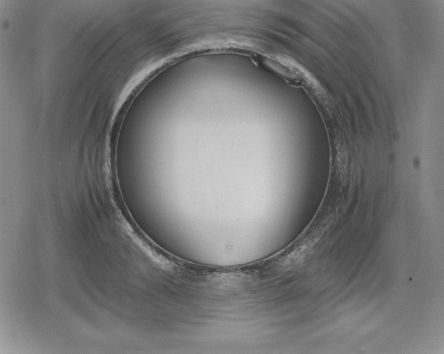 X0000080170894200612221248