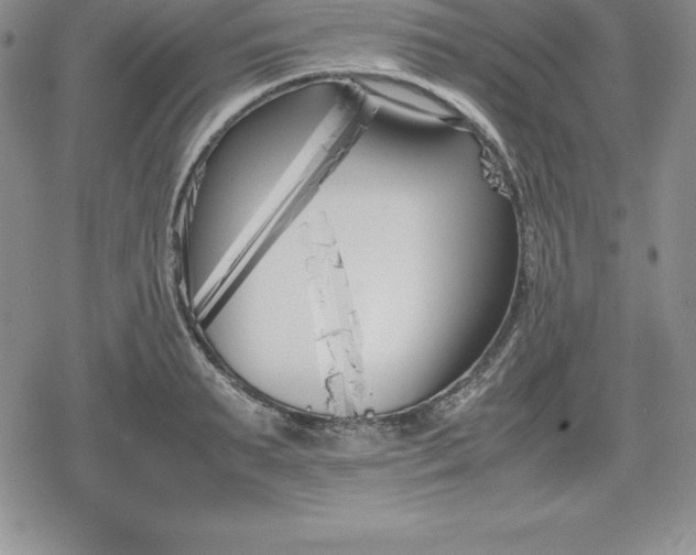 X0000080170895200612221248