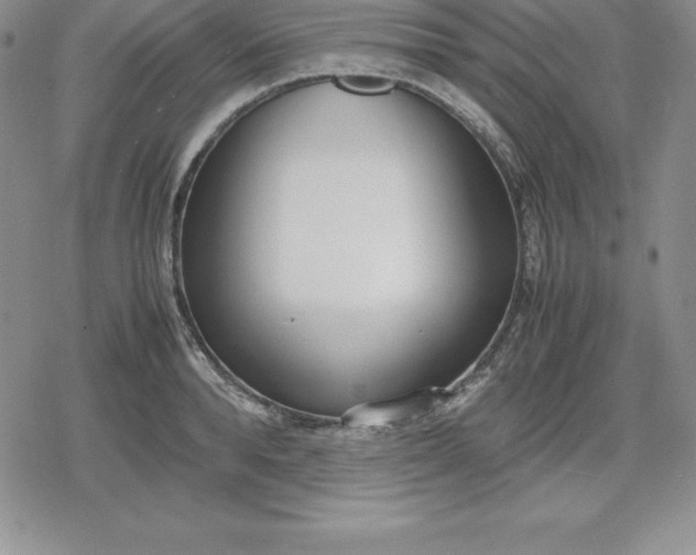 X0000080170896200612221248