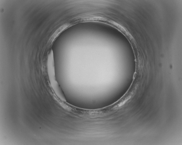 X0000080170897200612221248