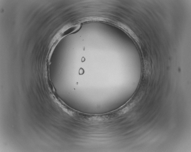 X0000080170898200612221248