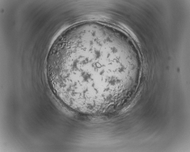 X0000080170899200612221248