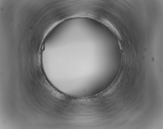 X0000080170900200612221248