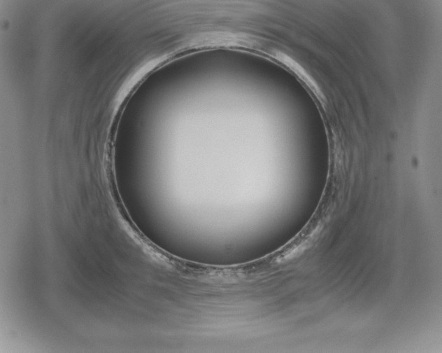 X0000080170901200612221248