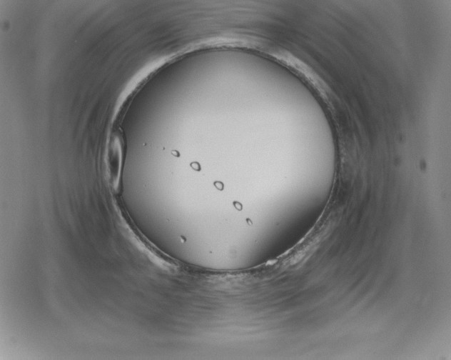 X0000080170902200612221248