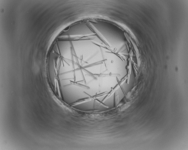 X0000080170903200612221248