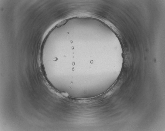 X0000080170904200612221248