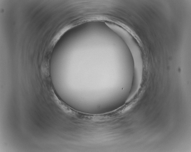 X0000080170905200612221248