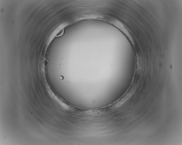 X0000080170906200612221248