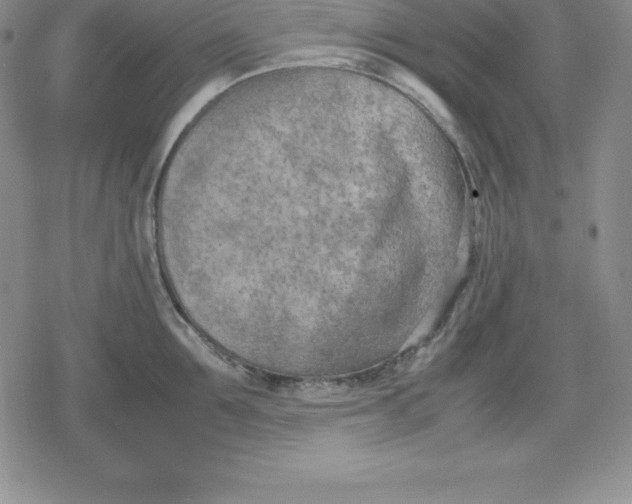 X0000080170907200612221248