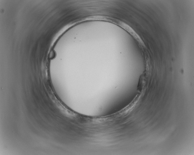 X0000080170908200612221248