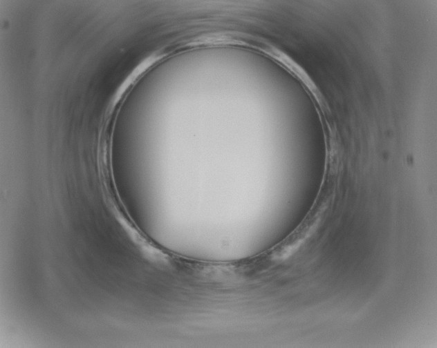 X0000080170909200612221248