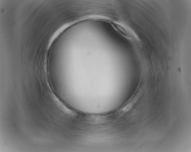 X0000080170910200612221248