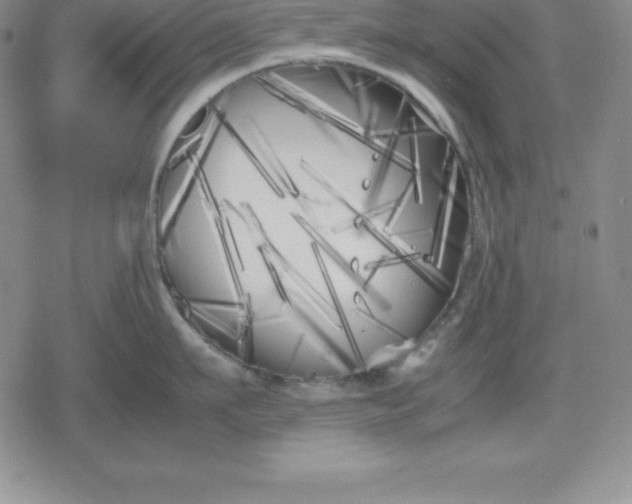 X0000080170911200612221248