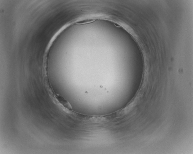 X0000080170912200612221247