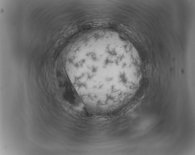 X0000080170913200612221247