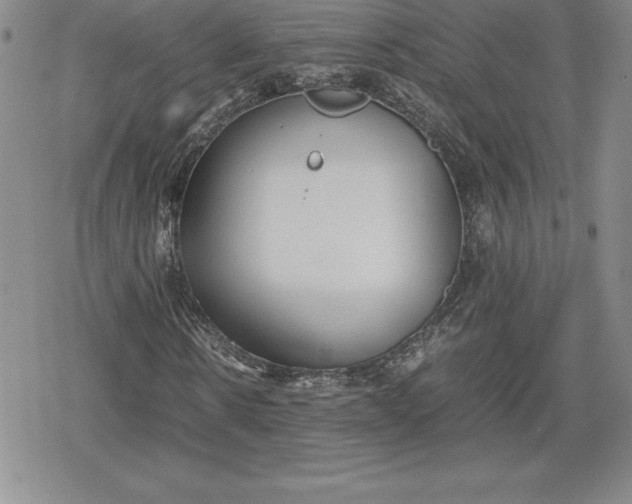 X0000080170914200612221247