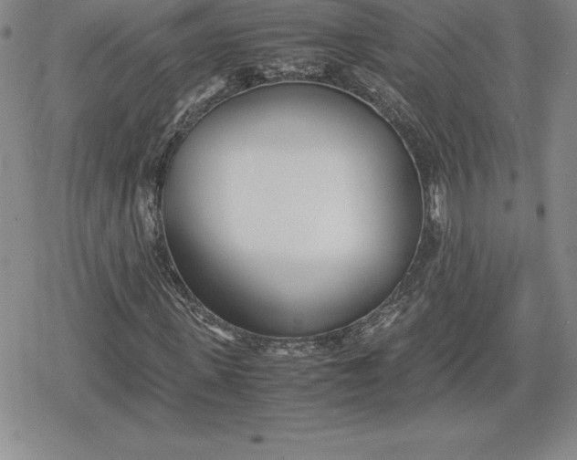 X0000080170915200612221247