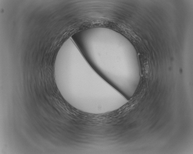 X0000080170916200612221247