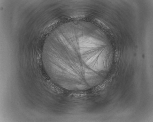 X0000080170917200612221247