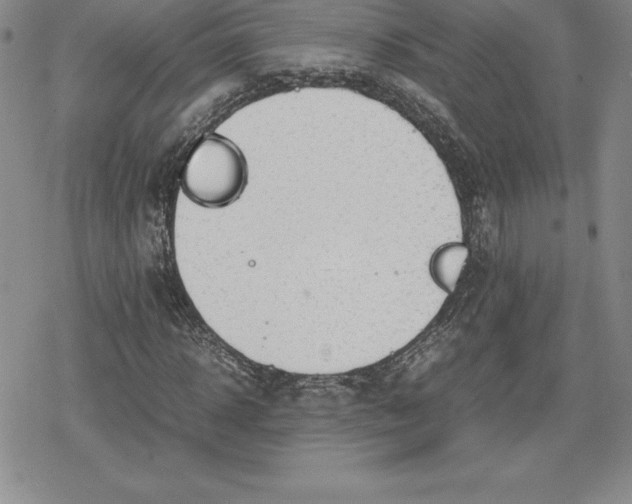 X0000080170918200612221247