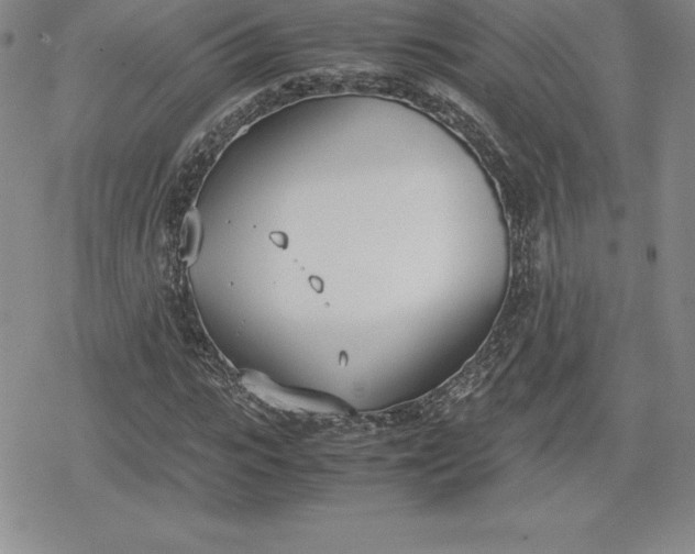 X0000080170919200612221247